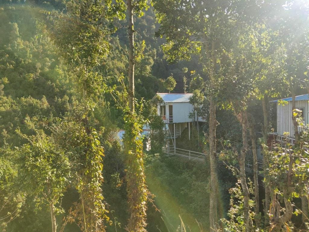 Tree house